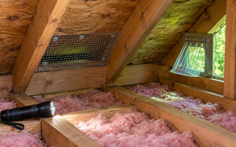 How to Keep Squirrels Out of the Attic (2026) Guide